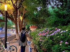 -常州古运河南大街文化旅游区-人民公园
