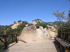-大岭沟猕猴桃谷风景区