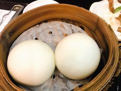 流沙奶黄包-添运来(茶园奥园广场店)