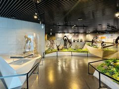 -北京周口店北京人遗址博物馆