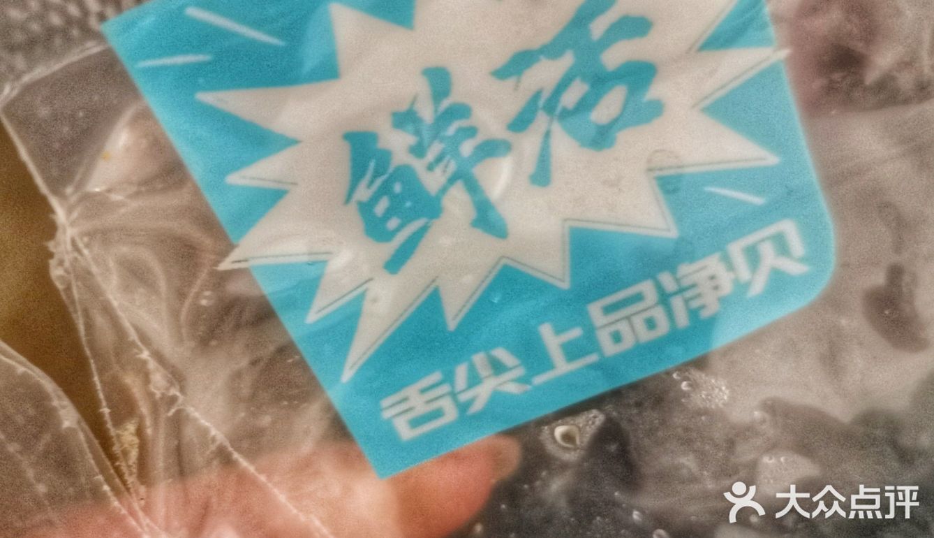 亲测鲜活白蛤比白蚬子好吃😋很多