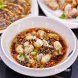 正宗鲜活大连海鲜‼️平价海鲜好去处‼️鲜‼️