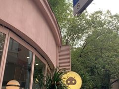 -WHEN PIGS FLY当猪飞