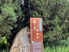 -昆明植物园