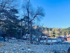 -鹫峰国家森林公园