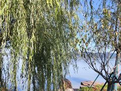 -东钱湖旅游度假区