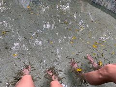 -碧水湾温泉