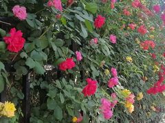 -海底捞火锅(老城根店)