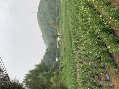 -南泥湾风景区