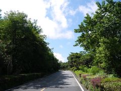 -平湖九龙山庄园圣马可酒店