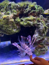 -Zoolung Zoolung动物主题公园(海信广场店)