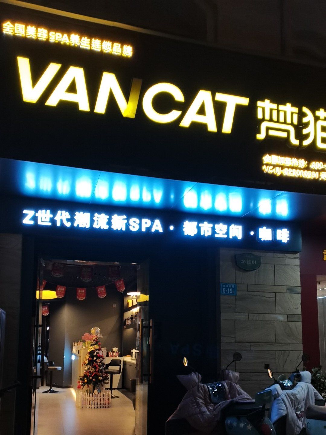 宝藏店铺梵猫