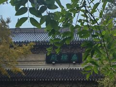-灵谷景区