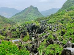 -玉石林风景区