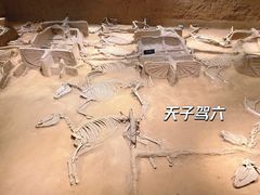 -洛阳周王城天子驾六博物馆