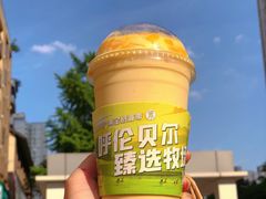 -茉酸奶(春熙路店)