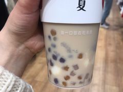 -树夏(金楠天街店)