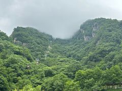 -牛背梁国家森林公园