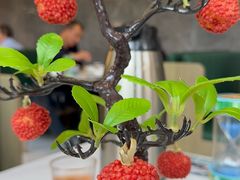 -椿记烧鹅(七星店)