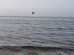 -北戴河东海水浴场