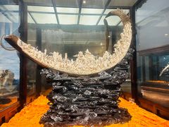 -东方山水乐园山之王国(全室内)