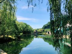 -善园自助餐厅(君澜·绍兴鉴湖大酒店)