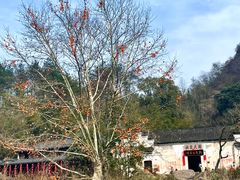 -方岩风景区