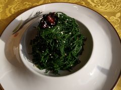 炝拌草原沙葱-德乐海蒙餐