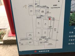 -河北村民俗体验园
