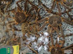 渔民新村49-渔民新村(番禺总店)