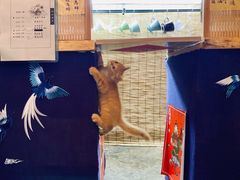 -悟饮门市景店
