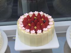 -蒲公英(五里店)