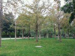 -荆川公园