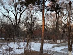 -北陵公园