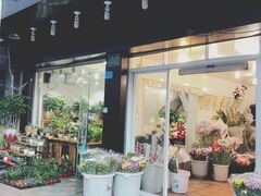 -溪岸路花鸟市场