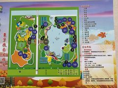 -上海都市菜园