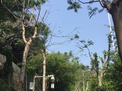 -铁路文化公园