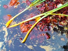 -周幺妹重庆老火锅(银泰城总店)