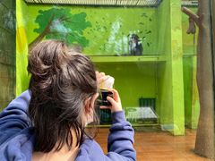 -荆州中山公园动物园