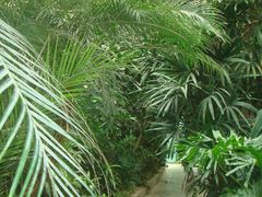 -郑州植物园