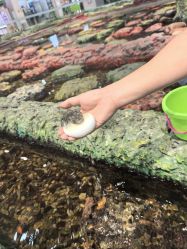 -钓虾工场·钓虾·赶海(回龙观店)