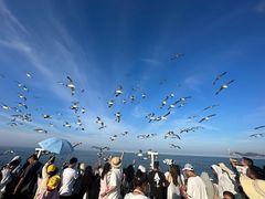 -海驴岛(荣成市)