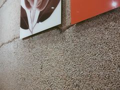 -小城粥道·海胆鲜虾粥(解放广场店)