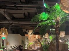 -大头椰·椰子鸡火锅(南宁万象城店)