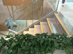 -同步齿科·数字化正畸种植口腔中心(珠海店)