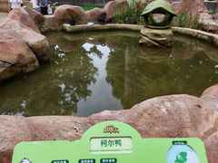 -北戴河集发农业梦想王国