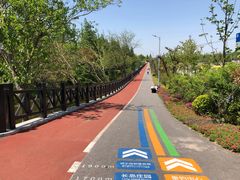 -上海长兴岛郊野公园