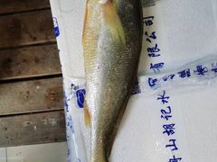 -金海湾海鲜排档(朱家尖店)