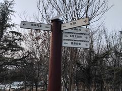 -大兴滨河森林公园