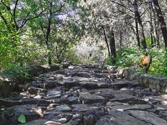-阳台山自然风景区
